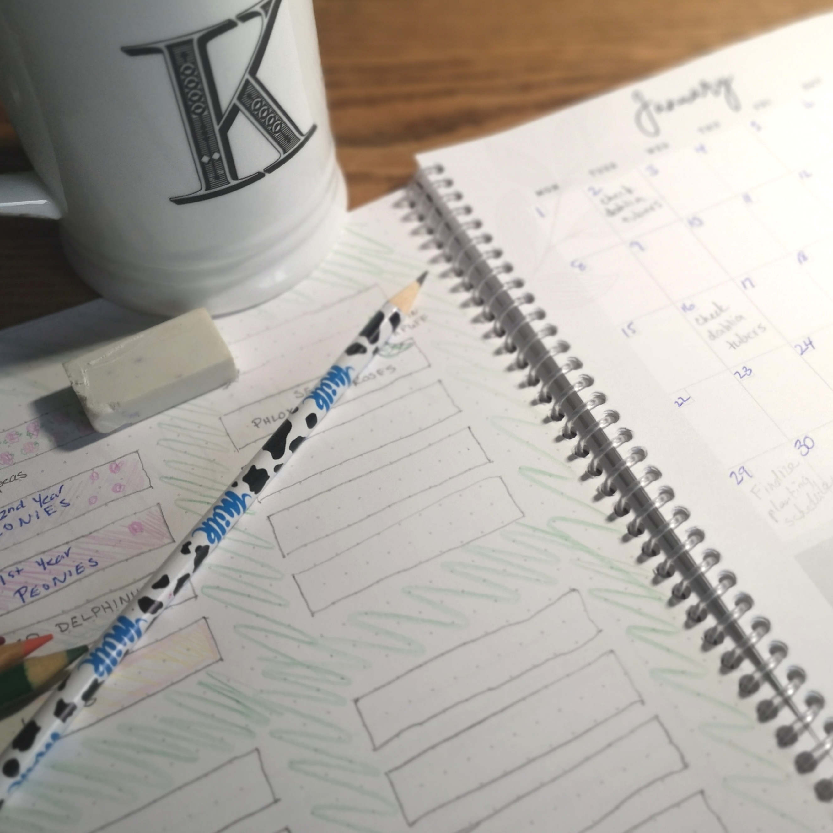 Image of January calendar and drawing of garden plans